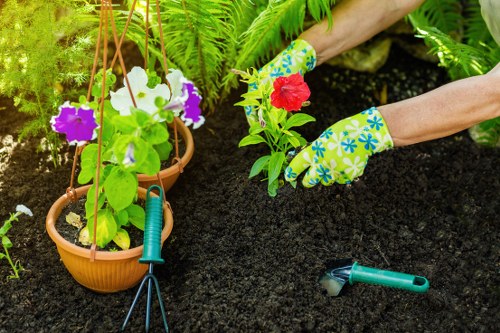 Tools and equipment used for garden clearance