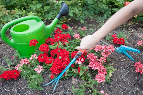Customer pointing out an area of concern in a garden