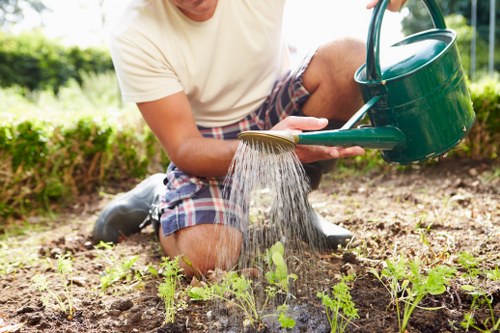 Gardener mowing a lush green lawn in Tottenham