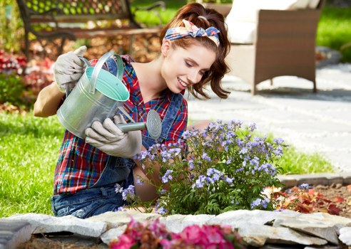 Autumn garden maintenance activities in Tottenham