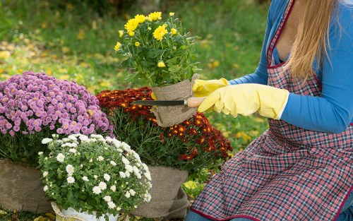 Inspector reviewing supplier documents for gardening services