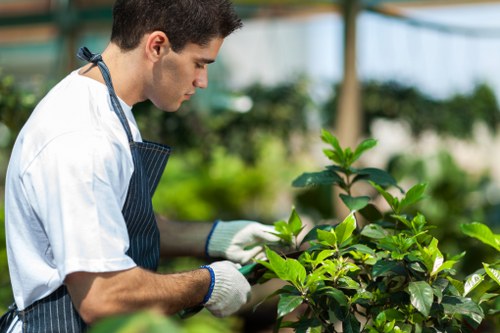 Eco-friendly gardening practices in action