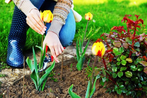 Winter garden care with protected plants in Tottenham
