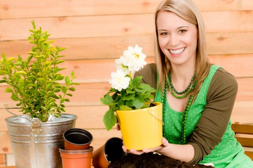 Professional landscapers enhancing a Tottenham outdoor space