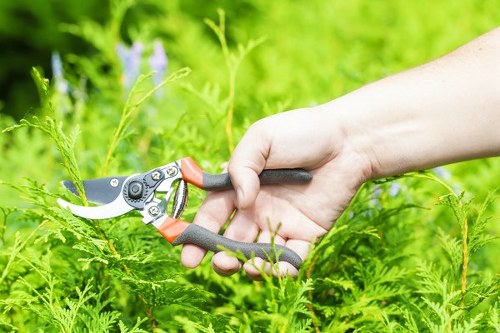 Person using screen reader to access Tottenham garden maintenance information