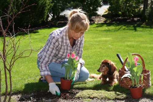 Native plants thriving in Tottenham's climate