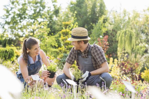 Selecting plants for Tottenham landscape