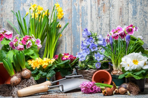 Gardener using tools for seasonal garden maintenance