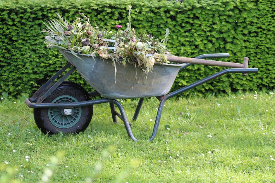 A metal wheelbarrow with a single black rubber tire, filled with garden waste such as shredded leaves, plant stems, and flower heads, rests on a well-maintained grassy lawn. The wheelbarrow has a wood